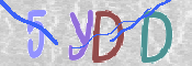 CAPTCHA Bild